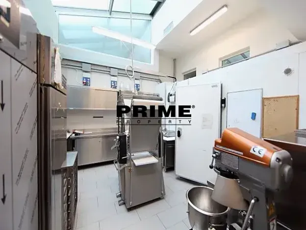 Pronájem obchodního prostoru, Praha - Vinohrady, Italská, 225 m2