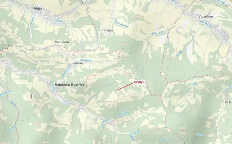 Dražba pozemku, Valašská Bystřice, 216 m2