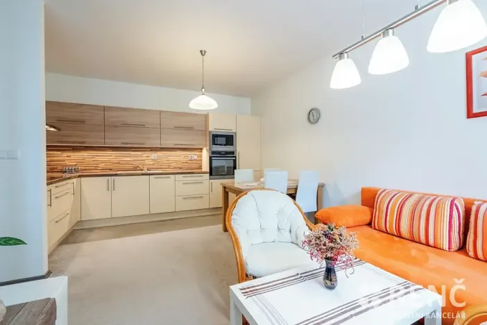 Pronájem bytu 2+kk, Brno, Kartouzská, 45 m2