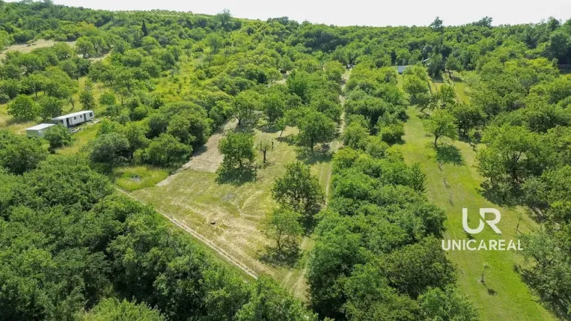Prodej pole, Židlochovice, 3851 m2