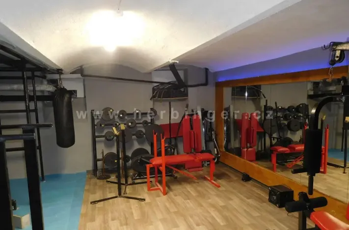 Prodej rodinného domu, Ostrava - Vítkovice, Mírová, 1391 m2