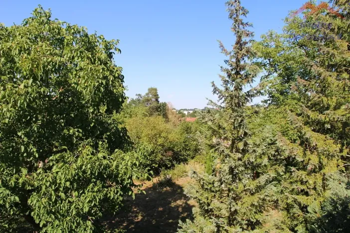 Prodej pozemku pro bydlení, Svinaře, 1599 m2