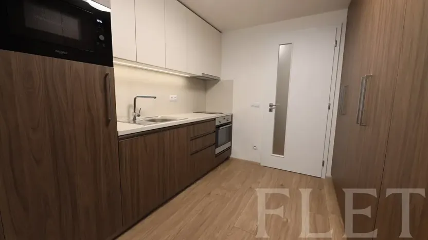 Pronájem bytu 1+kk, Praha - Žižkov, Hartigova, 48 m2
