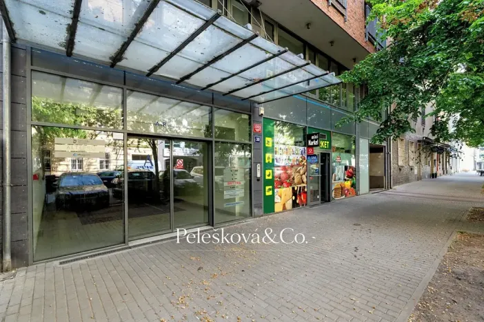 Prodej bytu 2+kk, Praha - Holešovice, Na Maninách, 52 m2
