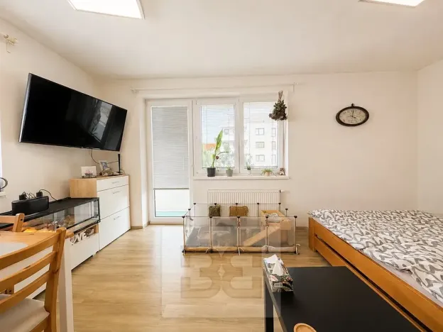 Pronájem bytu 1+kk, Slavkov u Brna, 31 m2