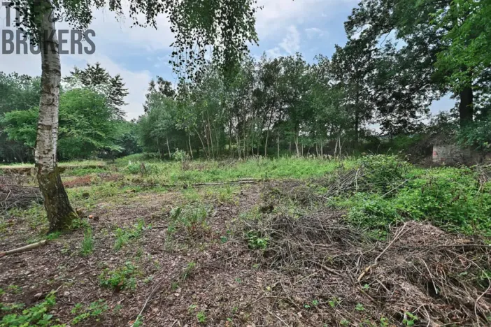 Prodej rodinného domu, Zásmuky - Vršice, 5000 m2