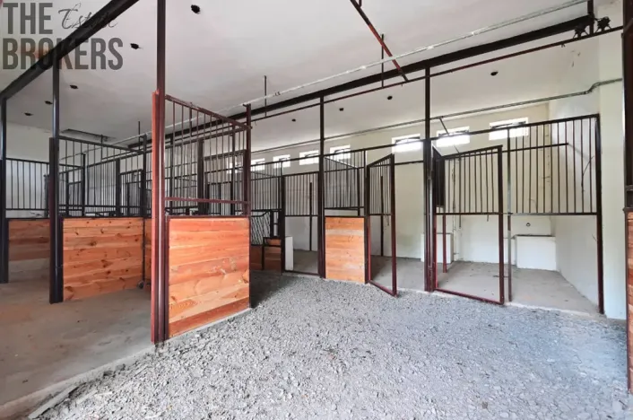 Prodej rodinného domu, Zásmuky - Vršice, 5000 m2