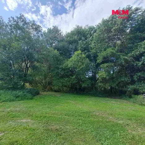 Prodej pozemku pro bydlení, Světlá Hora - Dětřichovice, 3506 m2