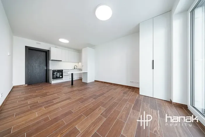 Pronájem bytu 1+kk, Olomouc, Třída Jiřího Pelikána, 33 m2