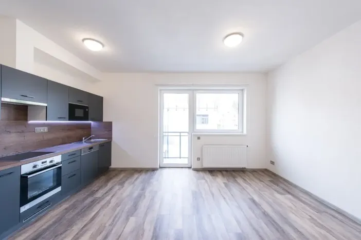Pronájem bytu 1+kk, Plzeň, Pod Záhorskem, 447 m2