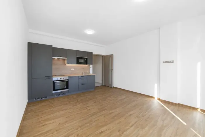 Pronájem bytu 1+kk, Zruč-Senec, Sportovní, 29 m2
