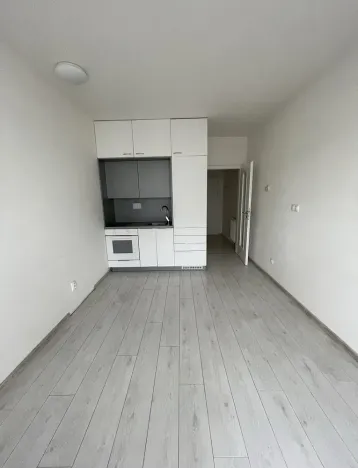 Pronájem bytu 1+kk, České Budějovice - České Budějovice 3, Jírovcova, 35 m2