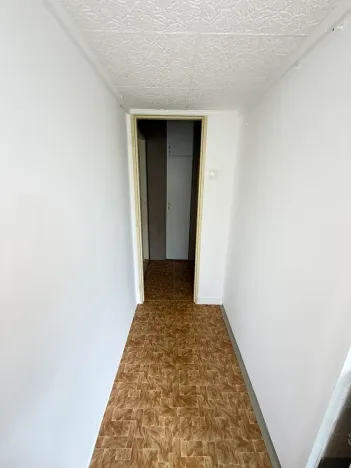 Prodej bytu 1+1, Brno, Nejedlého, 38 m2
