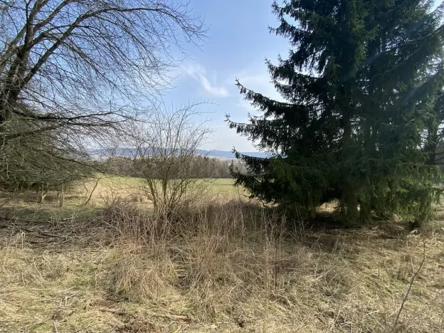 Prodej louky, Městečko Trnávka - Lázy, 1410 m2