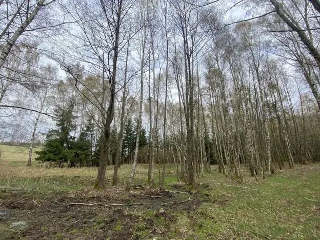 Prodej pozemku, Volfířov - Brandlín, 5958 m2
