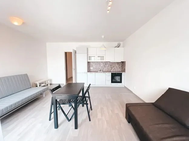 Pronájem bytu 1+kk, Praha - Žižkov, Olgy Havlové, 45 m2