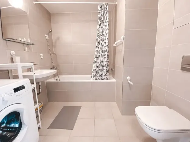 Pronájem bytu 1+kk, Praha - Žižkov, Olgy Havlové, 45 m2