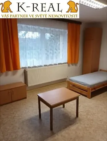 Pronájem bytu 1+1, Velká Bíteš, 40 m2