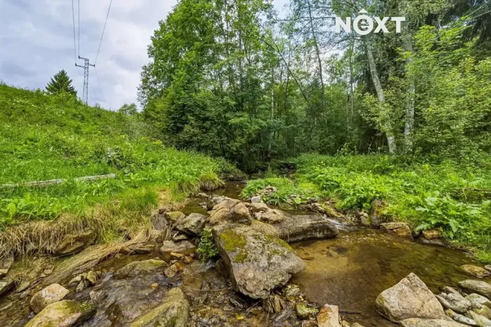 Prodej pozemku pro bydlení, Horní Vltavice, 2934 m2