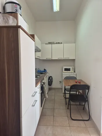 Pronájem pokoje, Praha - Karlín, Peckova, 15 m2
