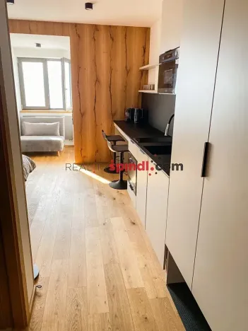 Pronájem bytu 1+kk, Špindlerův Mlýn, 24 m2