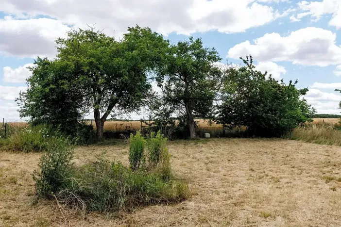 Prodej rodinného domu, Cvrčovice, Lesní, 206 m2