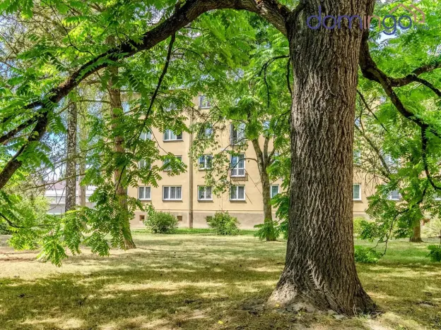 Prodej bytu 3+1, Svitavy - Předměstí, Olbrachtova, 60 m2