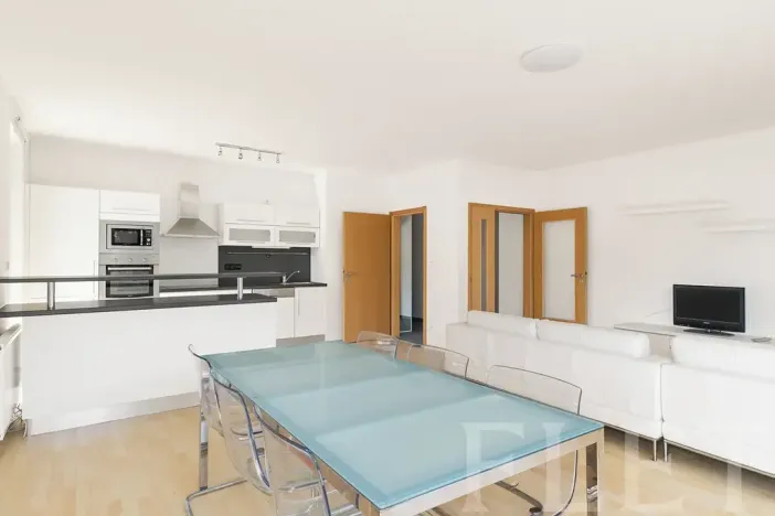 Pronájem bytu 3+kk, Praha - Hodkovičky, U Zátiší, 109 m2