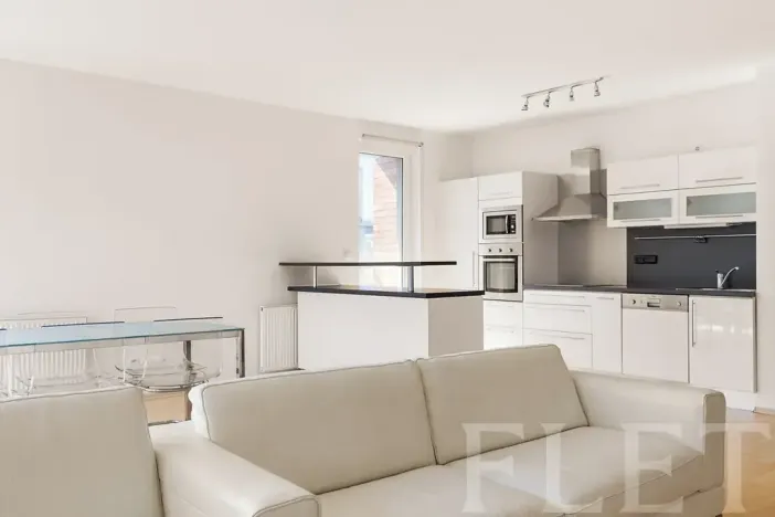 Pronájem bytu 3+kk, Praha - Hodkovičky, U Zátiší, 109 m2