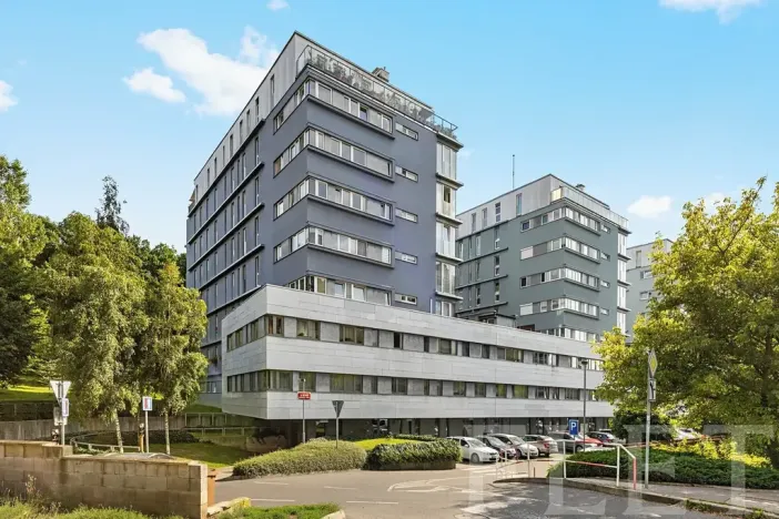 Pronájem bytu 3+kk, Praha - Hodkovičky, U Zátiší, 109 m2