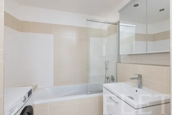 Pronájem bytu 1+kk, Praha - Černý Most, Rudolfa Holeky, 51 m2