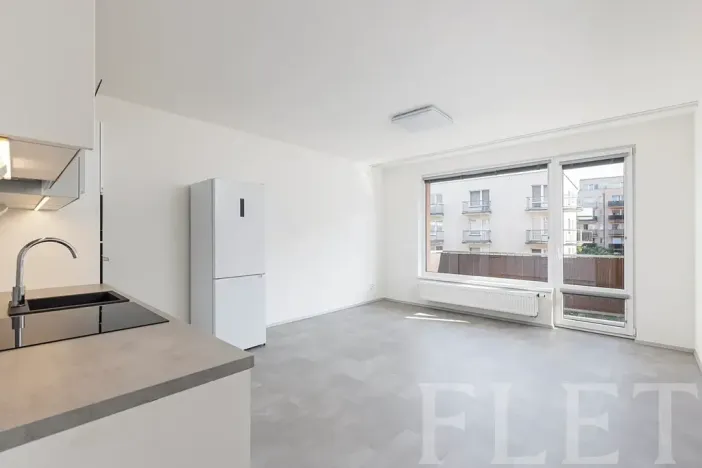 Pronájem bytu 1+kk, Praha - Černý Most, Rudolfa Holeky, 51 m2