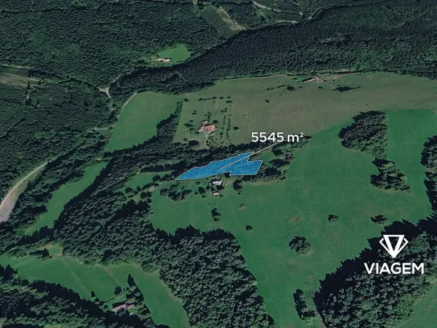 Prodej podílu lesa, Valašská Senice, 4990 m2