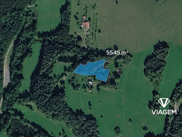 Prodej podílu lesa, Valašská Senice, 4990 m2
