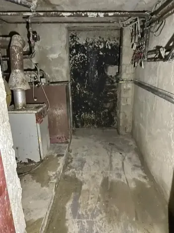 Dražba rodinného domu, Rosice, U Sýpky, 345 m2