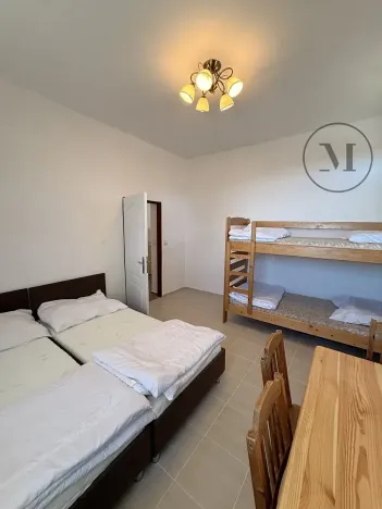 Prodej apartmánu, Přední Výtoň, 423 m2