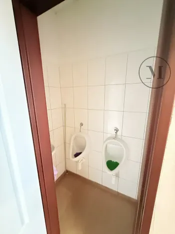 Prodej apartmánu, Přední Výtoň, 423 m2