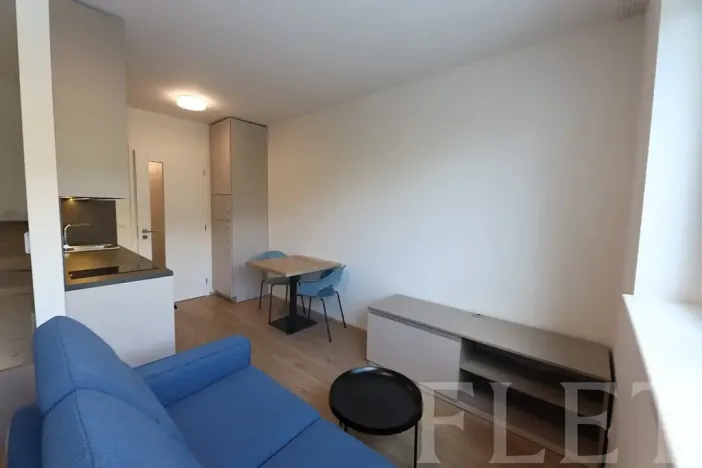 Pronájem bytu 1+kk, Praha - Holešovice, V háji, 30 m2