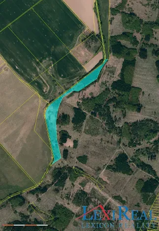 Prodej lesa, Stařeč, Horní, 15237 m2
