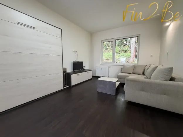 Pronájem bytu 1+kk, Ostrov - Horní Žďár, 28 m2