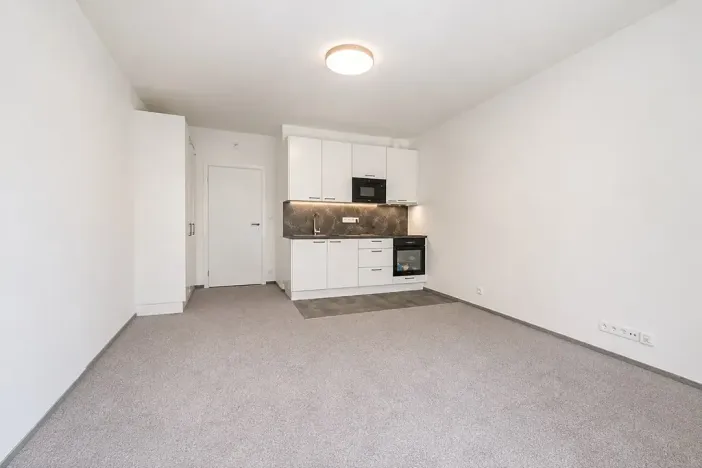 Pronájem bytu 1+kk, Praha - Holešovice, Gerstnerova, 59 m2