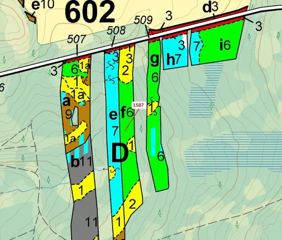 Dražba lesa, Nová Bystřice, 11125 m2