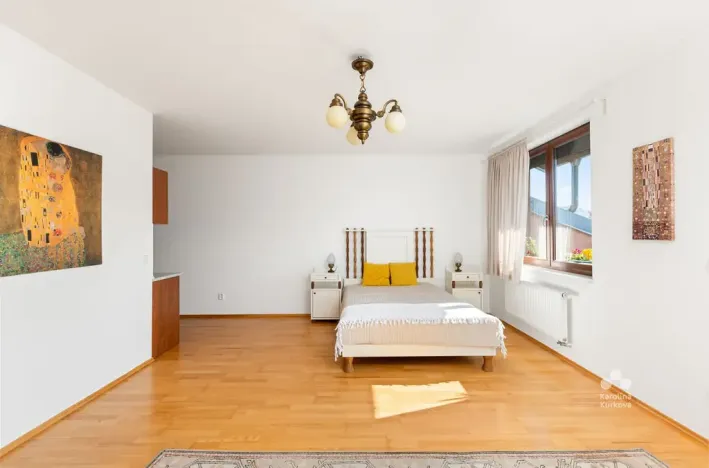 Pronájem bytu 1+kk, Praha - Podolí, Dvorecká, 55 m2