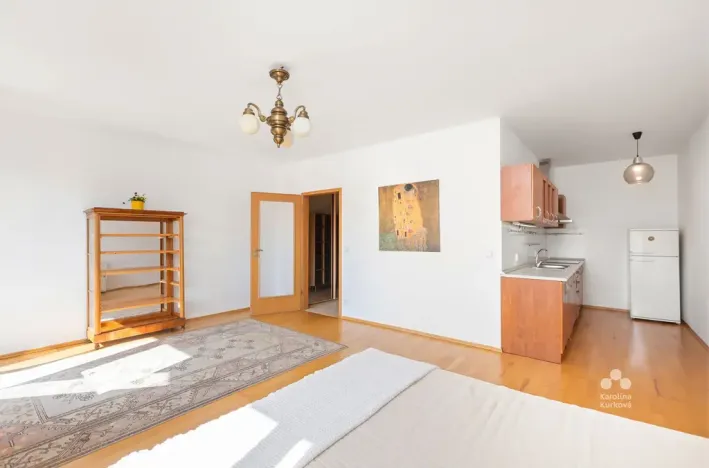 Pronájem bytu 1+kk, Praha - Podolí, Dvorecká, 55 m2
