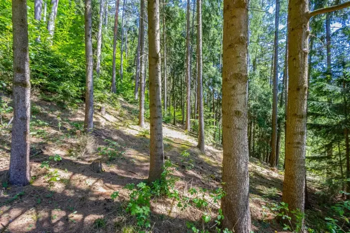 Prodej chaty, Leština, 130 m2