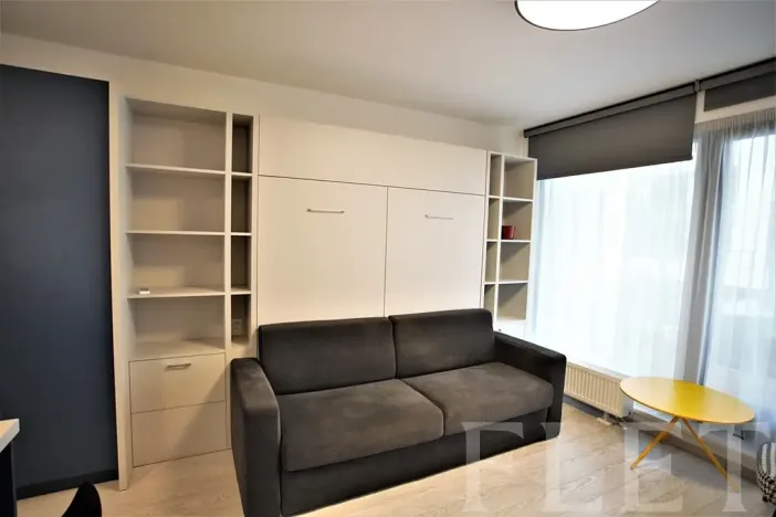 Pronájem bytu 1+kk, Praha - Karlín, Sokolovská, 31 m2