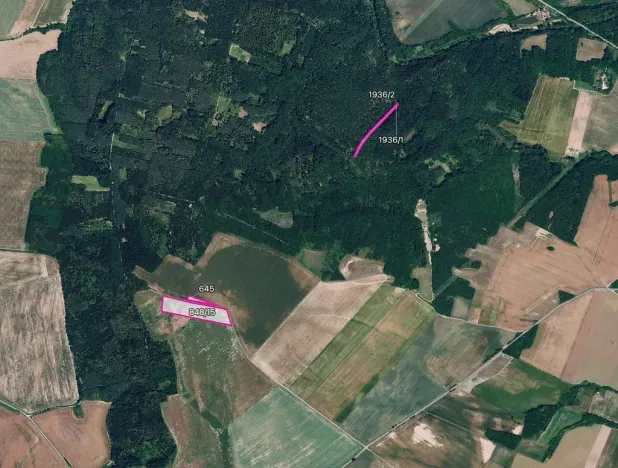 Prodej pole, Džbánice, 11072 m2