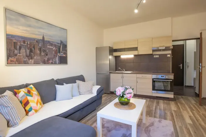 Prodej bytu 2+kk, Praha - Žižkov, Jana Želivského, 56 m2