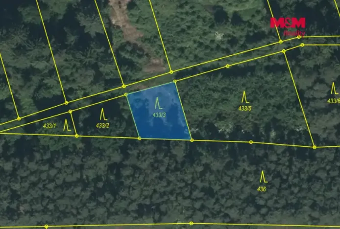 Prodej lesa, Slabčice - Písecká Smoleč, 48910 m2
