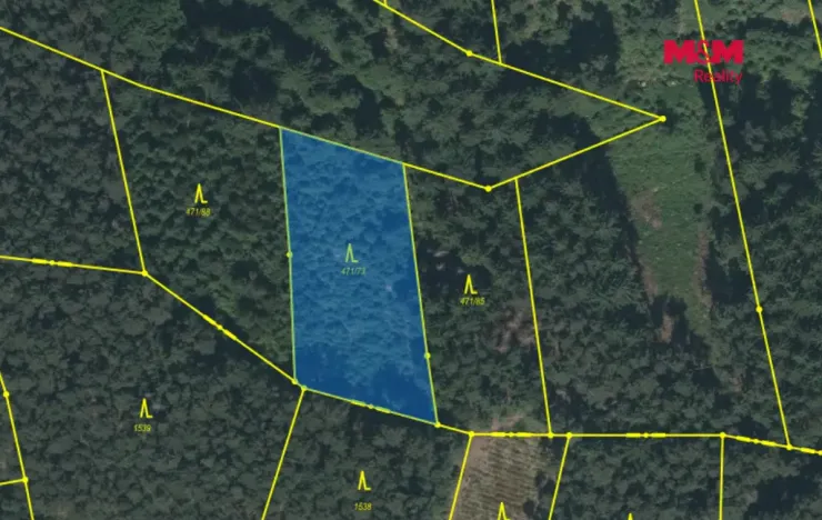 Prodej lesa, Slabčice - Písecká Smoleč, 48910 m2